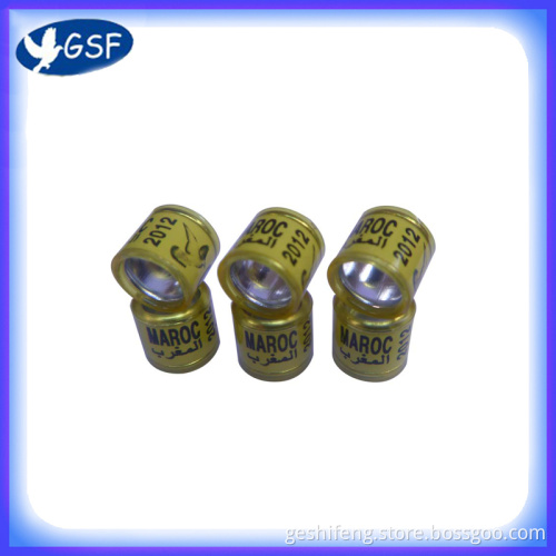 Pigeon Tag (GSF-APPR)